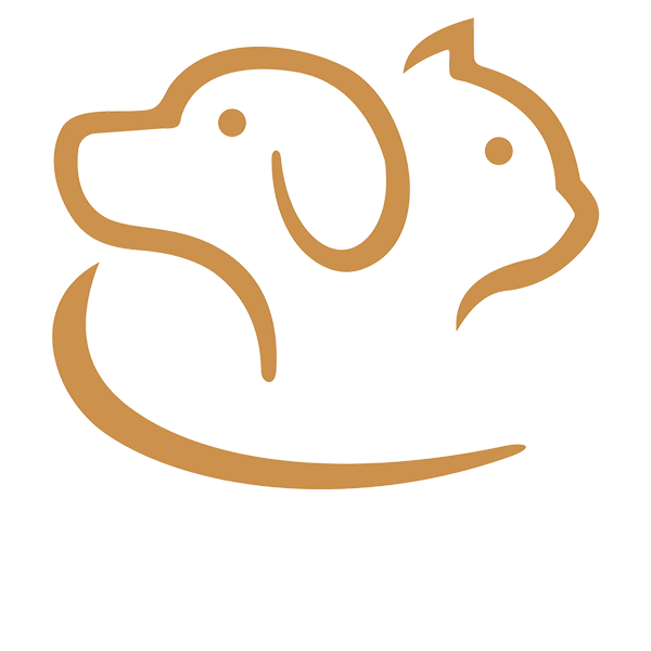 Beatriz Faria 07 footer