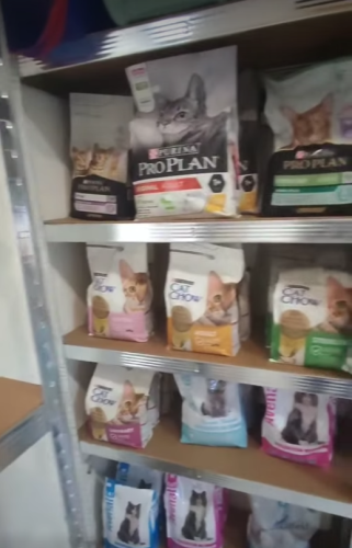 Captura de ecrã 2025-01-14 144427