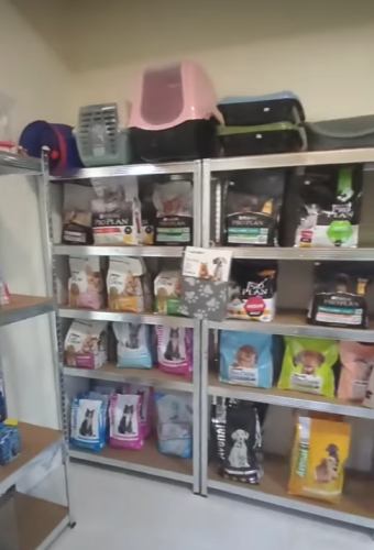 Captura de ecrã 2025-01-14 144437